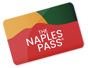 travel pass naples